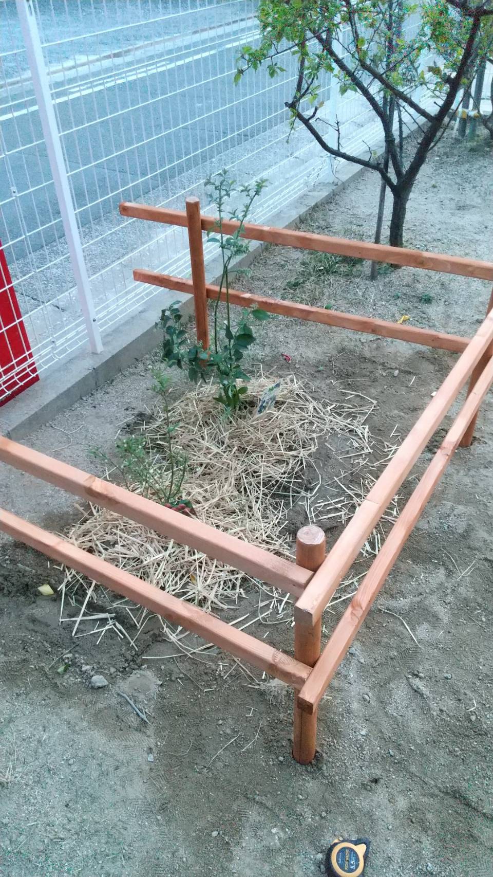 若木保護フェンス