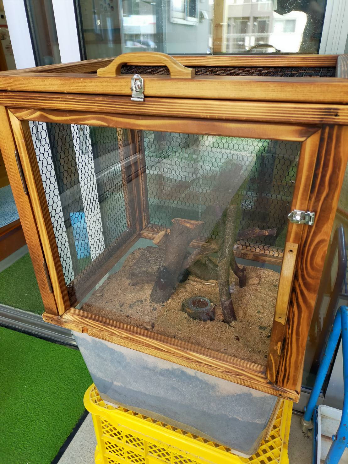 甲虫専用飼育ケース