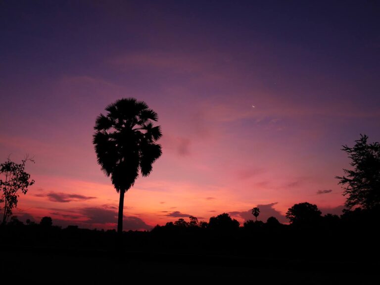 ベトナム・カンボジアの空